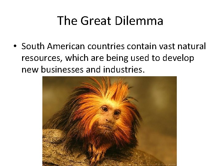 The Great Dilemma • South American countries contain vast natural resources, which are being