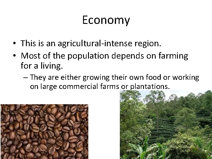Economy • This is an agricultural-intense region. • Most of the population depends on