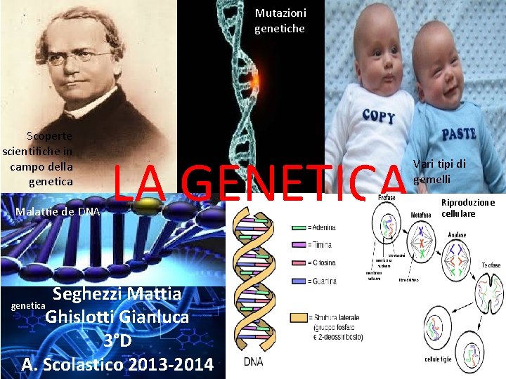 Mutazioni genetiche Scoperte scientifiche in campo della genetica Malattie de DNA LA GENETICA Seghezzi
