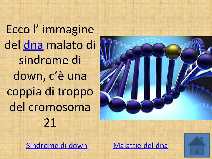 Ecco l’ immagine del dna malato di sindrome di down, c’è una coppia di