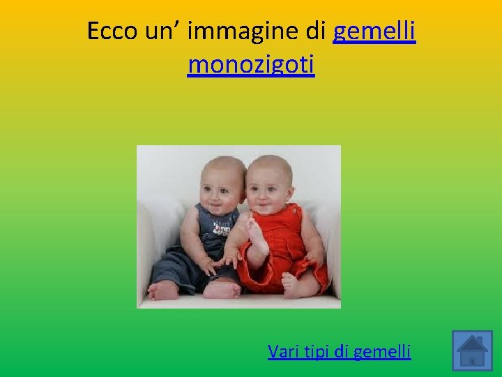 Ecco un’ immagine di gemelli monozigoti Vari tipi di gemelli 