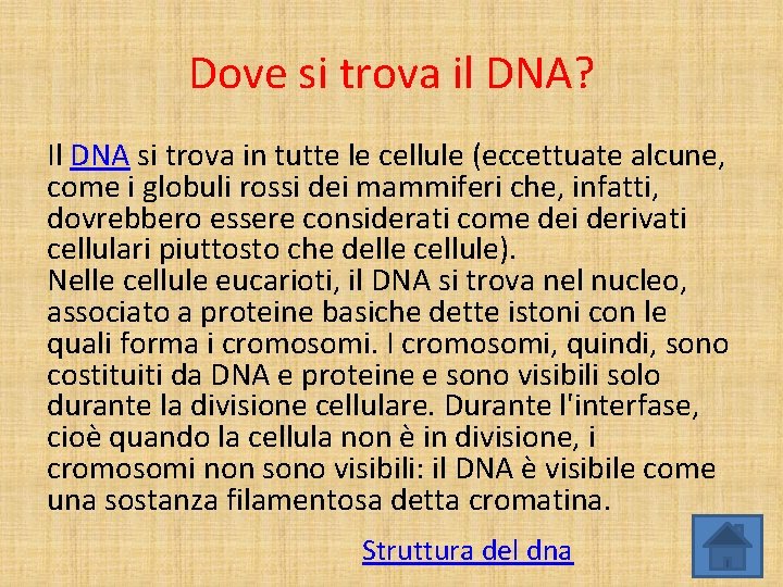 Dove si trova il DNA? Il DNA si trova in tutte le cellule (eccettuate