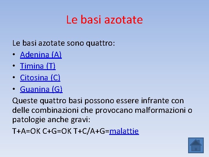 Le basi azotate sono quattro: • Adenina (A) • Timina (T) • Citosina (C)