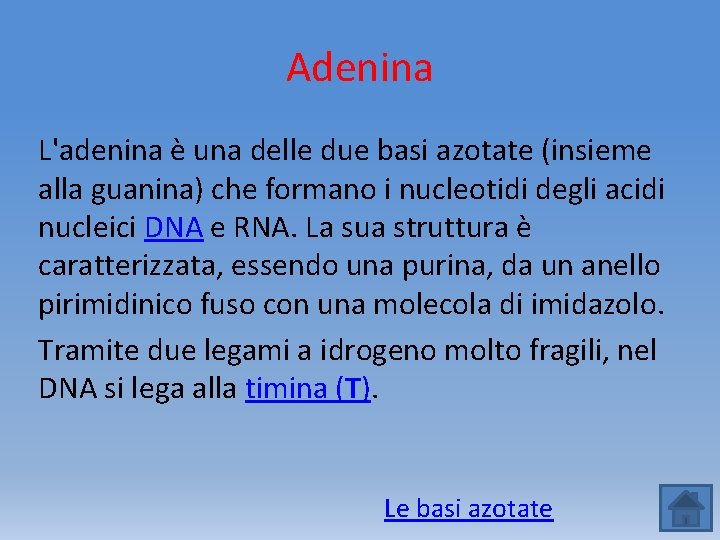 Adenina L'adenina è una delle due basi azotate (insieme alla guanina) che formano i