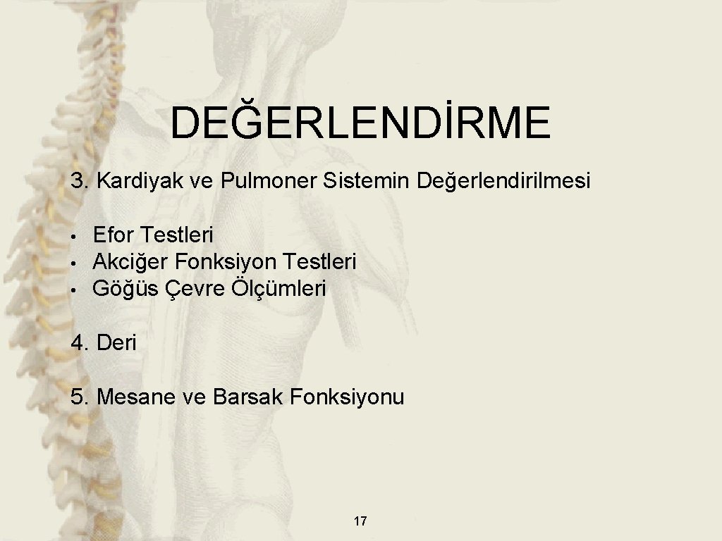 DEĞERLENDİRME 3. Kardiyak ve Pulmoner Sistemin Değerlendirilmesi • • • Efor Testleri Akciğer Fonksiyon