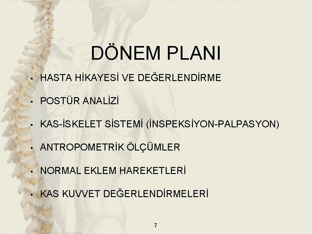 DÖNEM PLANI • HASTA HİKAYESİ VE DEĞERLENDİRME • POSTÜR ANALİZİ • KAS-İSKELET SİSTEMİ (İNSPEKSİYON-PALPASYON)