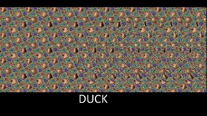 DUCK 