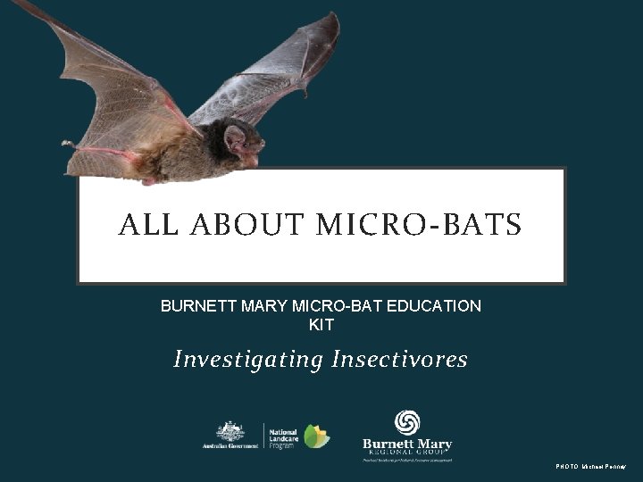 ALL ABOUT MICRO-BATS BURNETT MARY MICRO-BAT EDUCATION KIT Investigating Insectivores PHOTO: Michael Pennay 