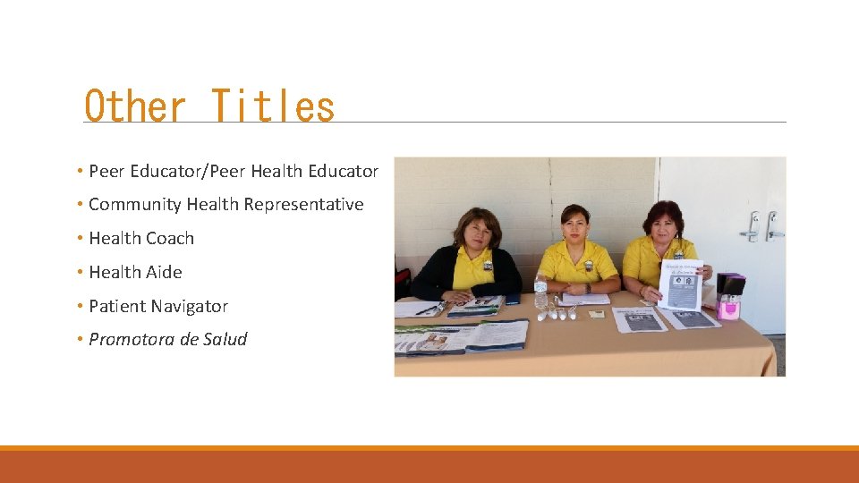 Other Titles • Peer Educator/Peer Health Educator • Community Health Representative • Health Coach