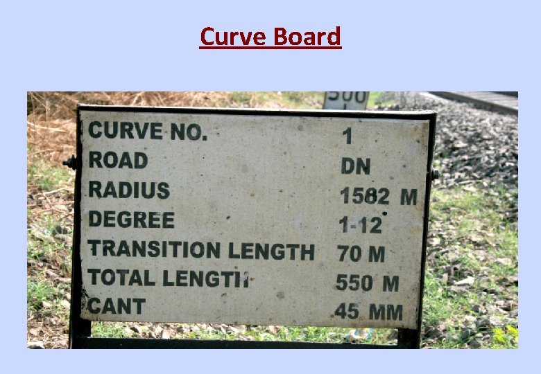 Curve Board 