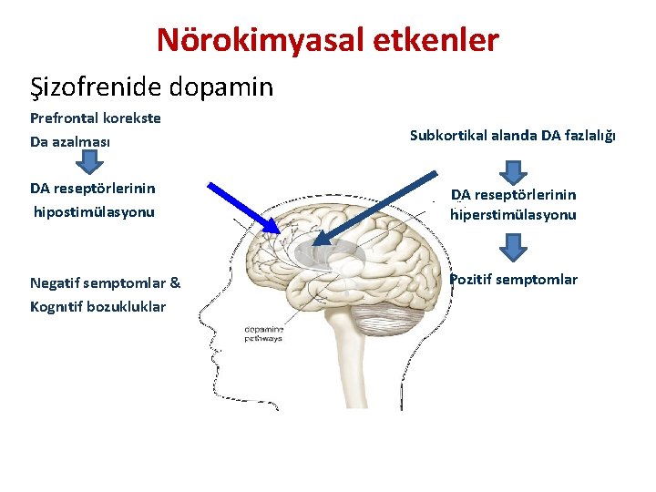 Nörokimyasal etkenler Şizofrenide dopamin Prefrontal korekste Da azalması Subkortikal alanda DA fazlalığı DA reseptörlerinin