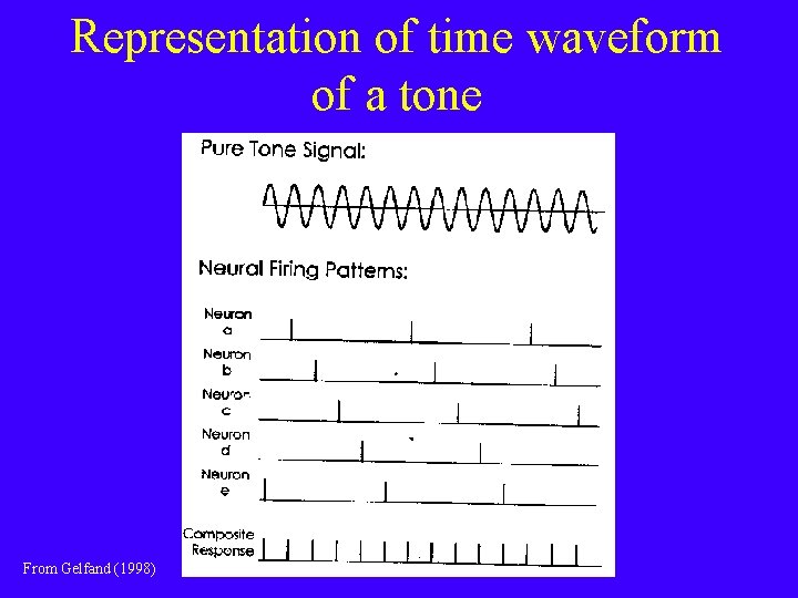 Representation of time waveform of a tone From Gelfand (1998) 