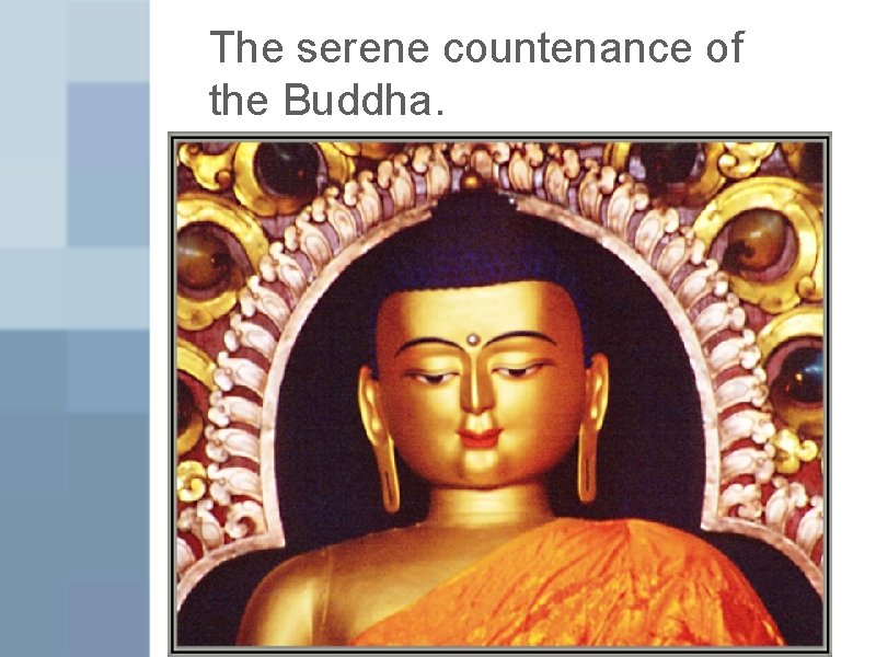The serene countenance of the Buddha. 