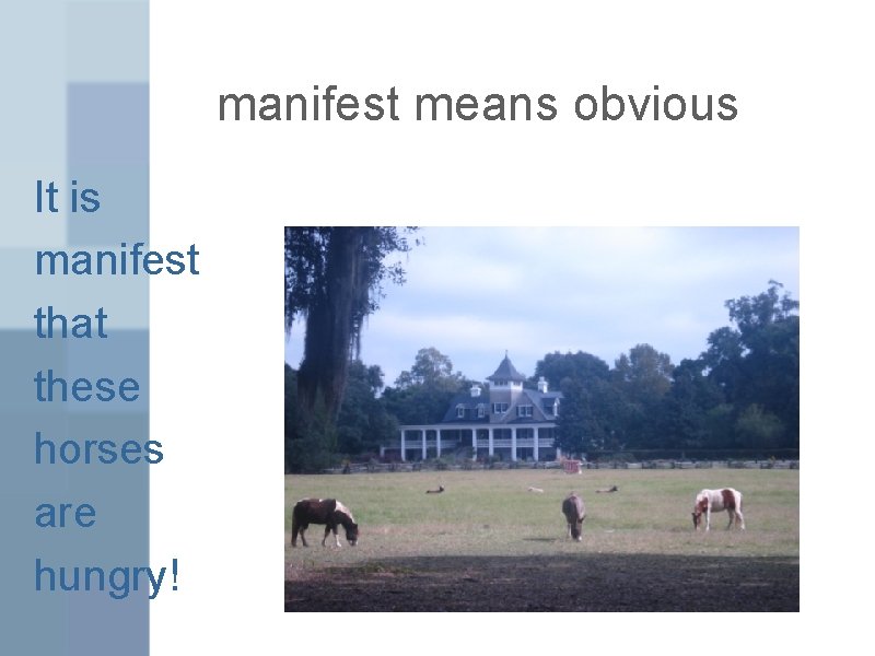 manifest means obvious It is manifest that these horses are hungry! 