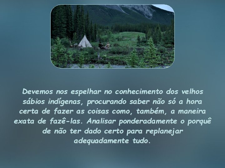 Devemos nos espelhar no conhecimento dos velhos sábios indígenas, procurando saber não só a