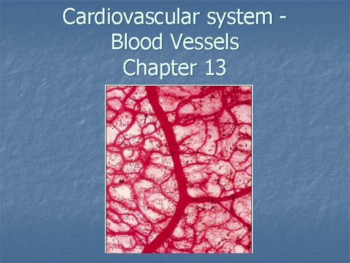 Cardiovascular system Blood Vessels Chapter 13 