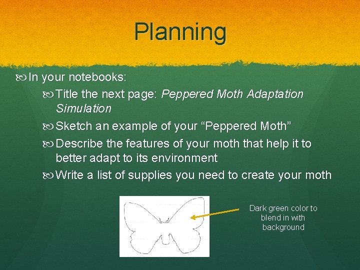 Planning In your notebooks: Title the next page: Peppered Moth Adaptation Simulation Sketch an