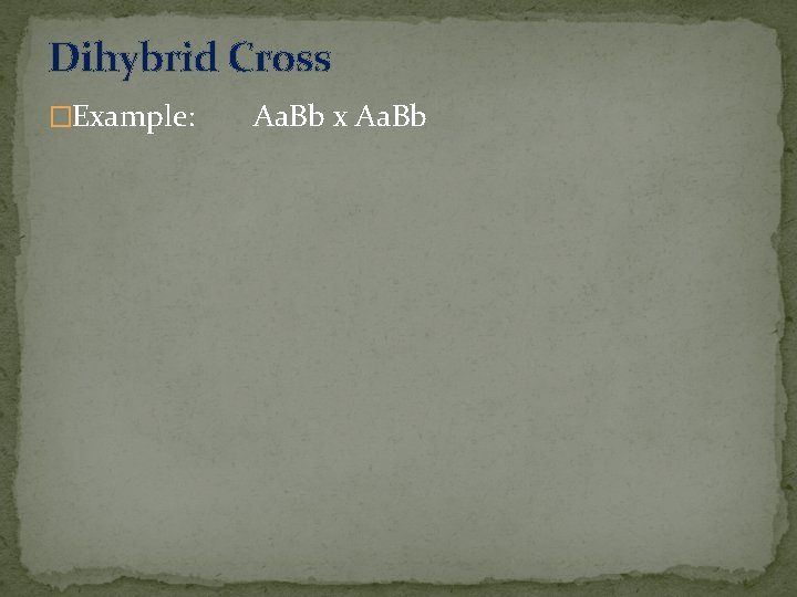 Dihybrid Cross �Example: Aa. Bb x Aa. Bb 
