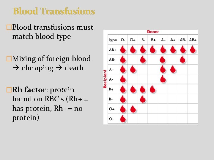 Blood Transfusions �Blood transfusions must match blood type �Mixing of foreign blood clumping death Blood Transfusions �Blood transfusions must match blood type �Mixing of foreign blood clumping death