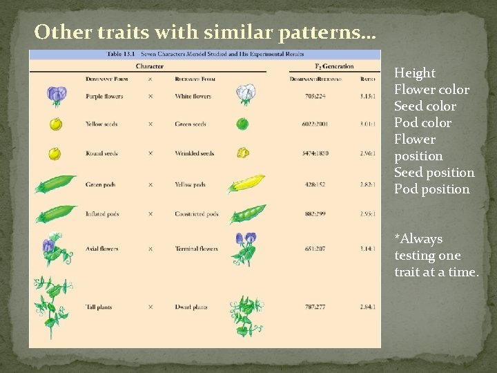 Other traits with similar patterns… Height Flower color Seed color Pod color Flower position