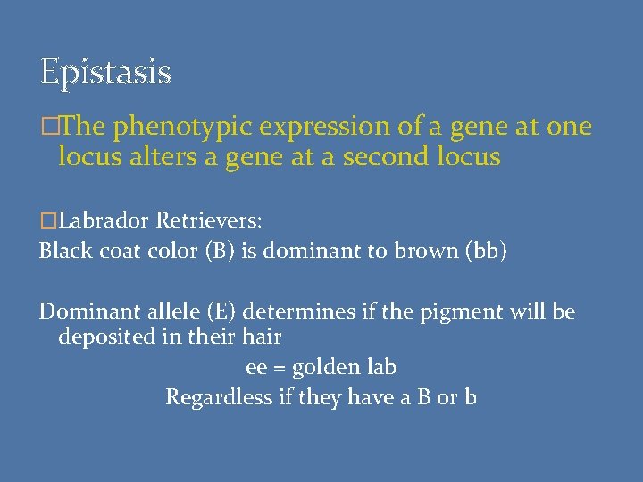 Epistasis �The phenotypic expression of a gene at one locus alters a gene at