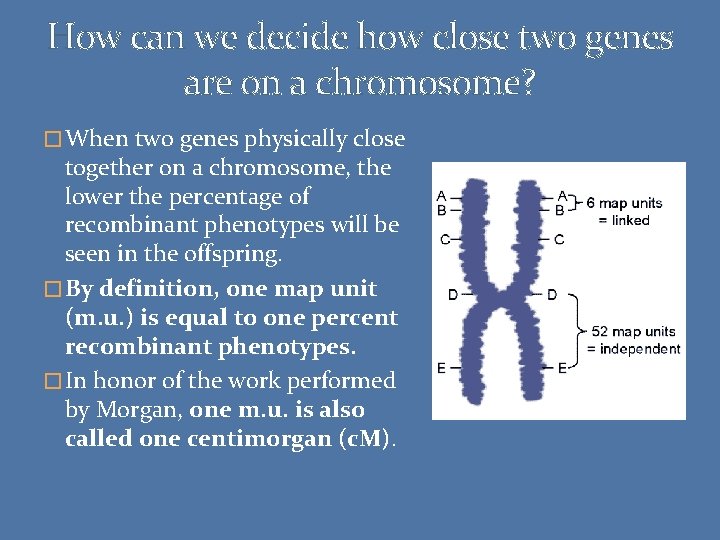 How can we decide how close two genes are on a chromosome? � When