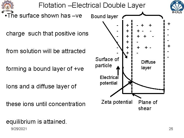 Flotation –Electrical Double Layer • The surface shown has –ve charge such that positive