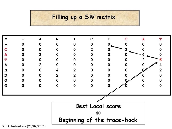 Filling up a SW matrix * C A T A N D O G