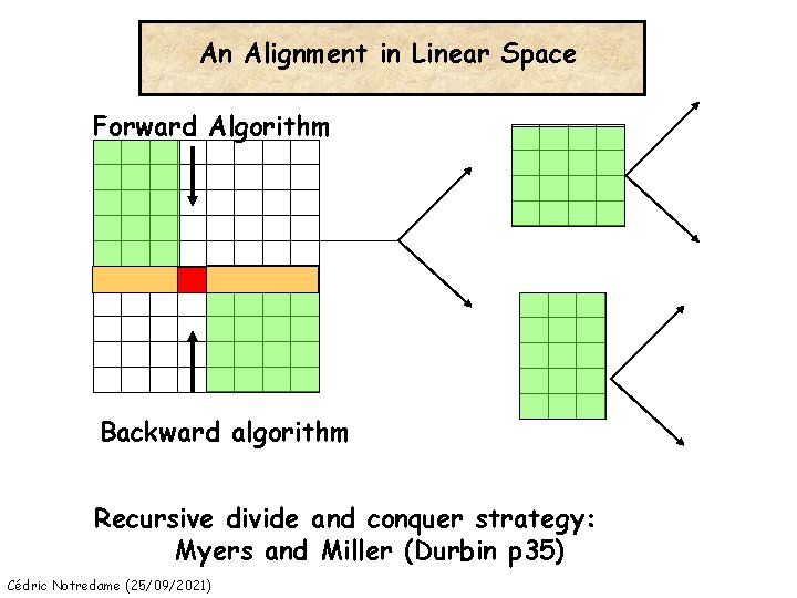 An Alignment in Linear Space Forward Algorithm Backward algorithm Recursive divide and conquer strategy: