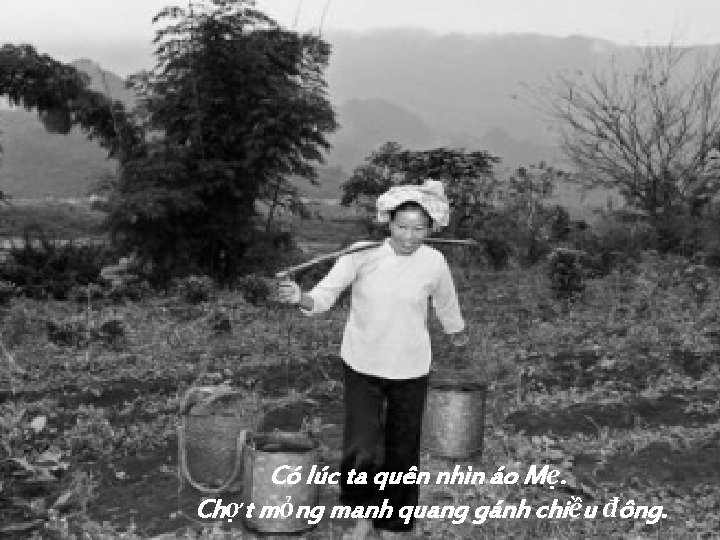 Có lúc ta quên nhìn áo Mẹ. Chợt mỏng manh quang gánh chiều đông.