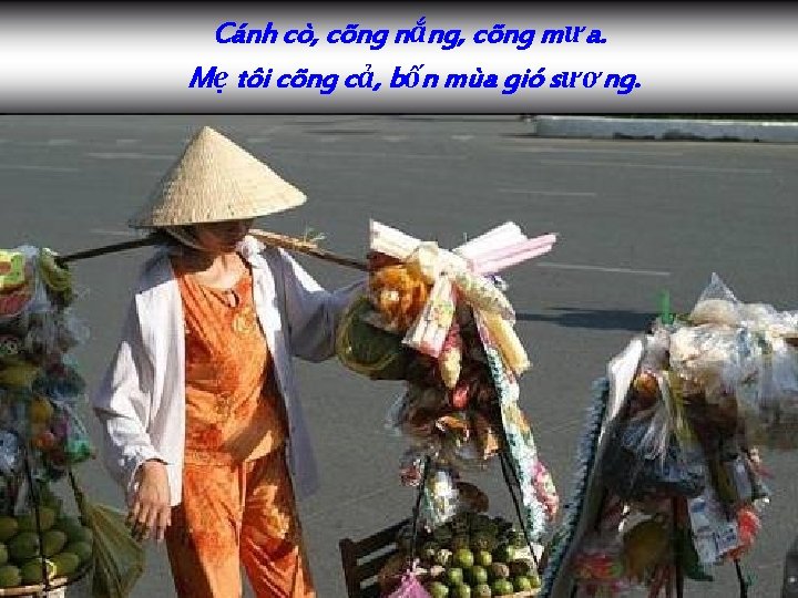 Cánh cò, cõng nắng, cõng mưa. Mẹ tôi cõng cả, bốn mùa gió sương.