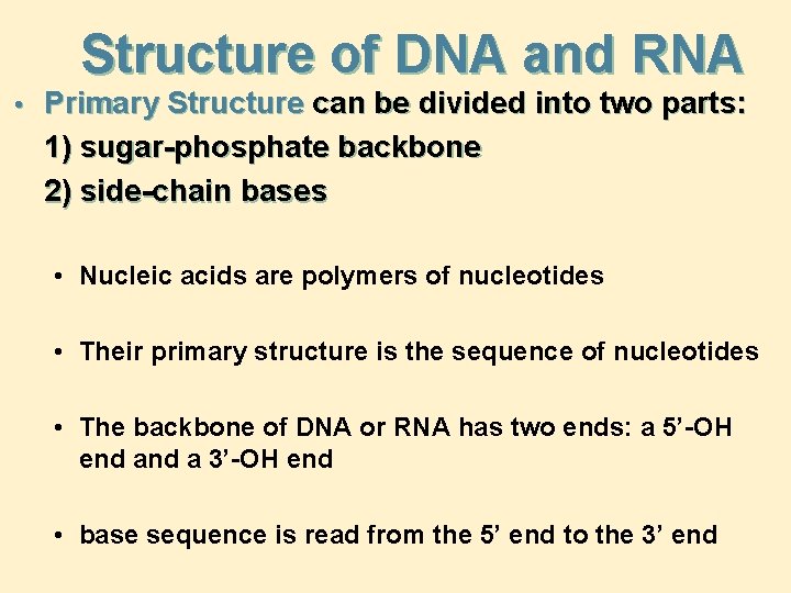 Structure of DNA and RNA • Primary Structure can be divided into two parts: