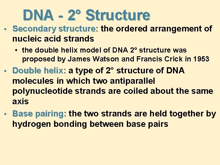 DNA - 2° Structure • Secondary structure: the ordered arrangement of nucleic acid strands