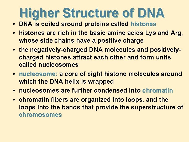 Higher Structure of DNA • DNA is coiled around proteins called histones • histones