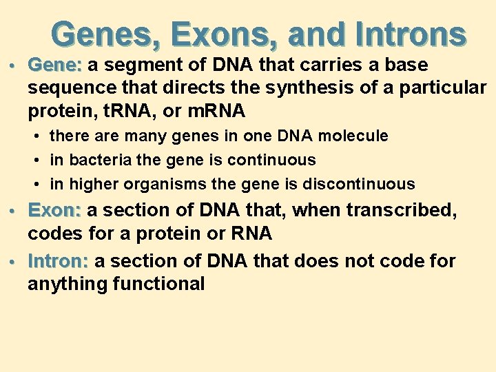 Genes, Exons, and Introns • Gene: a segment of DNA that carries a base