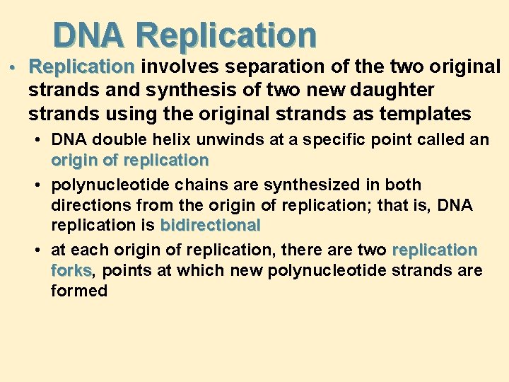 DNA Replication • Replication involves separation of the two original strands and synthesis of