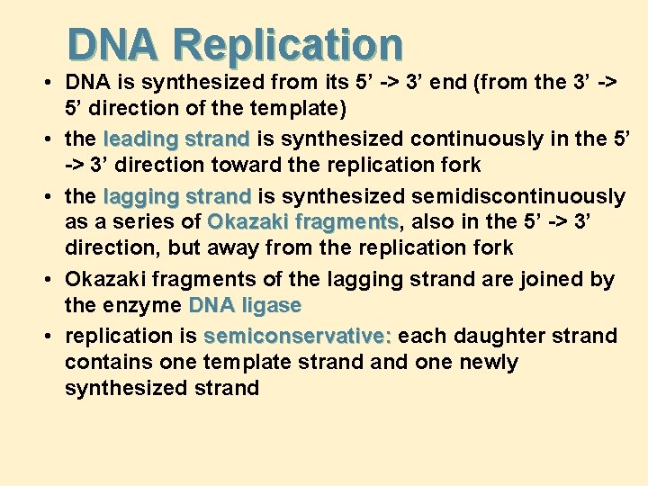 DNA Replication • DNA is synthesized from its 5’ -> 3’ end (from the