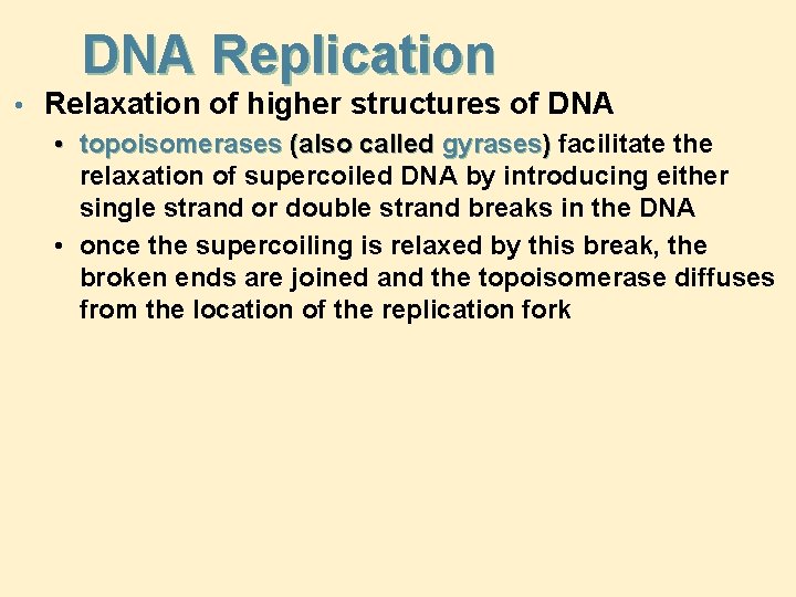 DNA Replication • Relaxation of higher structures of DNA • topoisomerases (also called gyrases)