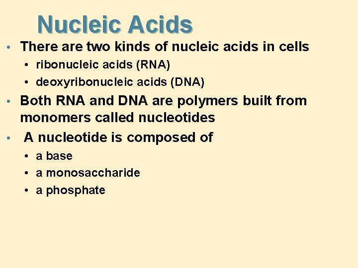 Nucleic Acids • There are two kinds of nucleic acids in cells • ribonucleic