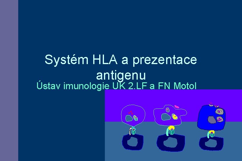 Systém HLA a prezentace antigenu Ústav imunologie UK 2. LF a FN Motol 