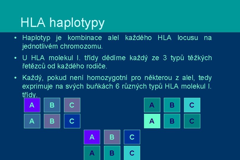 HLA haplotypy • Haplotyp je kombinace alel každého HLA locusu na jednotlivém chromozomu. •