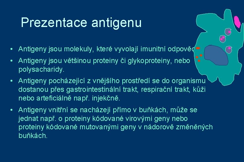 Prezentace antigenu • Antigeny jsou molekuly, které vyvolají imunitní odpověď. • Antigeny jsou většinou