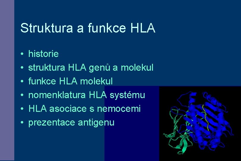Struktura a funkce HLA • • • historie struktura HLA genů a molekul funkce