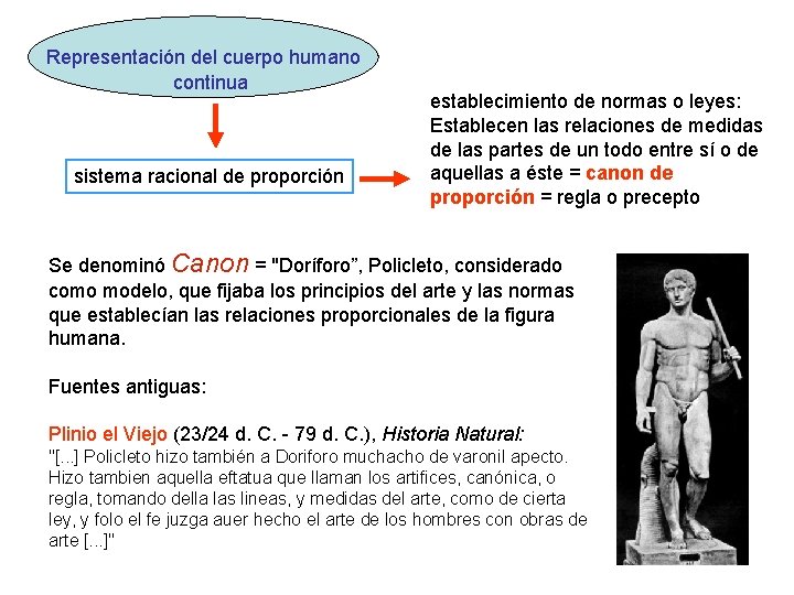 Representación del cuerpo humano continua sistema racional de proporción establecimiento de normas o leyes:
