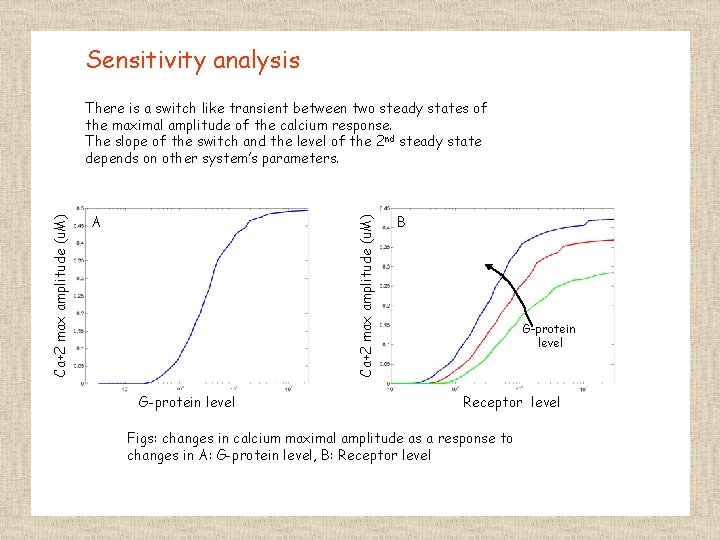 Sensitivity analysis A Ca+2 max amplitude (u. M) There is a switch like transient