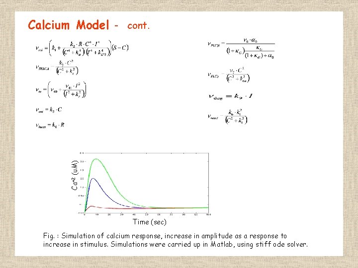 Ca+2 (u. M) Calcium Model - cont. Time (sec) Fig. : Simulation of calcium