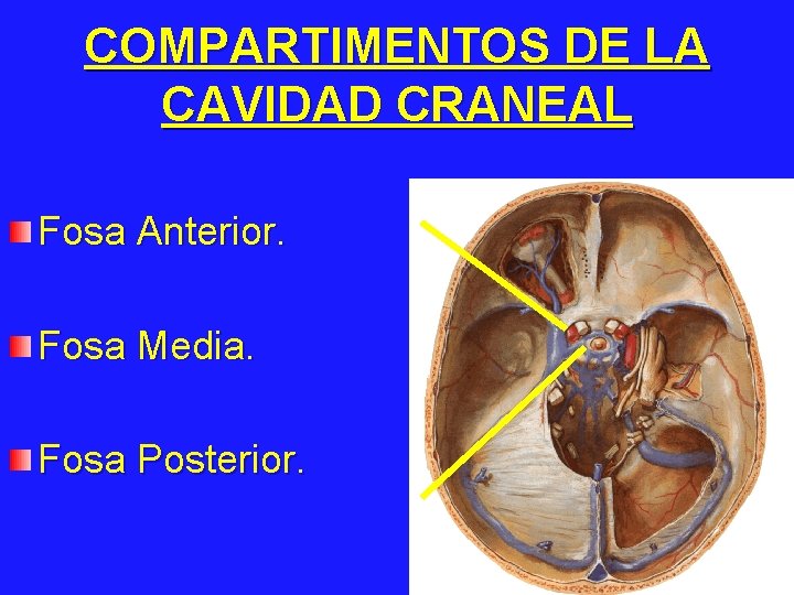 COMPARTIMENTOS DE LA CAVIDAD CRANEAL Fosa Anterior. Fosa Media. Fosa Posterior. 