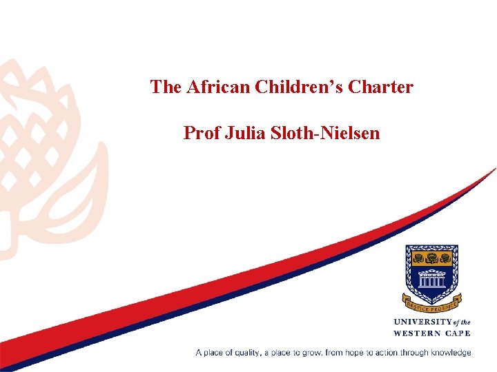 The African Children’s Charter Prof Julia Sloth-Nielsen 