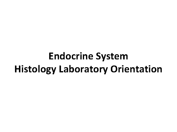 Endocrine System Histology Laboratory Orientation 