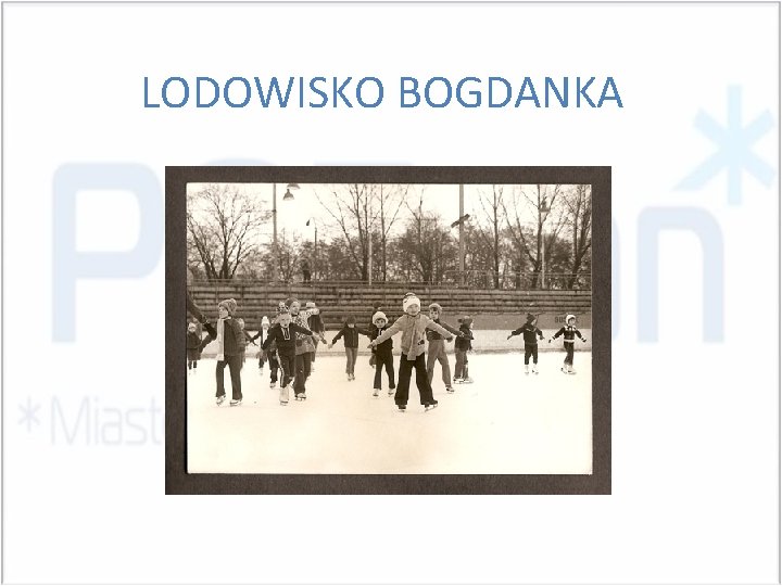 LODOWISKO BOGDANKA 